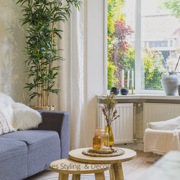 Huis stylen tips en tricks .jpg